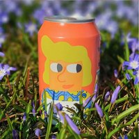 ERGOUPUB 29元任选5瓶 精酿啤酒  1x1x330ml 包装 330ml