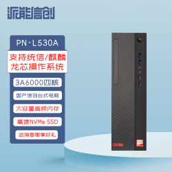 派能信创 PN-L530A龙芯3A6000 16GB+512GB SSD信创主机 可预装统信系统试用版