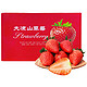 鲜其 奶油草莓  红颜99草莓  单果20G+  1.5斤+京东顺丰配送