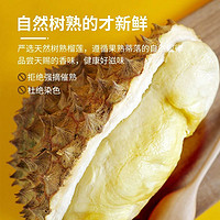 DURIAN POWER 榴力量 马来西亚DURIAN POWER进口猫山王冷冻榴莲果肉300g冻肉