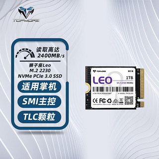 TOPMORE 达墨 Leo 狮子座 NVMe M.2固态硬盘 1TB（PCIe 4.0）