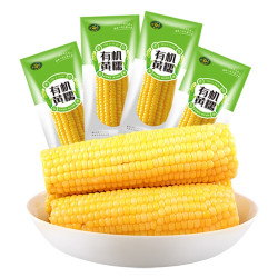 珍谷诱惑 东北糯玉米棒 200g*8支