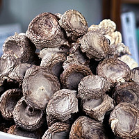 地瓜皇后 鹿茸菇150g鹿茸菌特级鹿茸菇煲汤云南脆姑菌菇类蘑菇