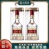 WULIANGYE 五粮液 52度第八代普五 500ml*2瓶装浓香型白酒 送礼品袋 正品保真