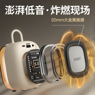 SOAIY 索爱 家庭ktv音响套装家用卡拉ok手机电视k歌迷你点歌机一体机无线蓝牙麦克风音箱双麦克风