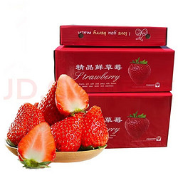 珞宴 红颜99草莓 奶油草莓 1.5斤 单果15g+ 顺丰京东配送5-20G   1.5斤