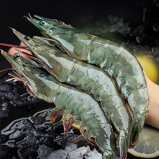 东上御品 青岛大虾鲜活新鲜特大青虾海虾冻虾白虾基围虾一箱整