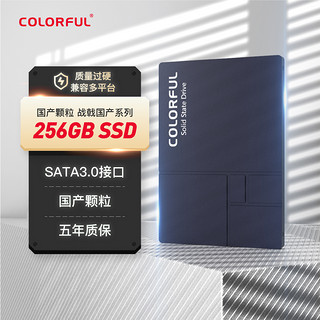 COLORFUL 七彩虹 战戟 SL300 SATA 固态硬盘 256GB（SATA3.0）