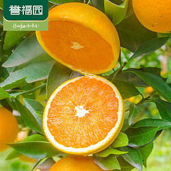 誉福园 宜昌蜜橘5斤桔子薄皮柑橘青皮橘子新鲜水果应季当季蜜整箱