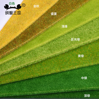 螃蟹王国 沙盘建筑模型材料室外草皮纸景观绿色草皮尼龙草坪草地多规格 深绿35cm*100cm
