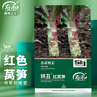 寿禾 红莴笋种子秋季蔬菜种籽 潍育系列妍丑红莴笋种子2g(约1200粒)