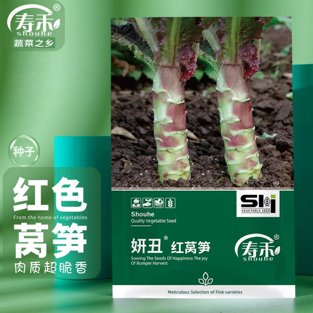 寿禾shouhe 红莴笋种子秋季蔬菜种籽 潍育系列妍丑红莴笋种子2g(约1200粒)