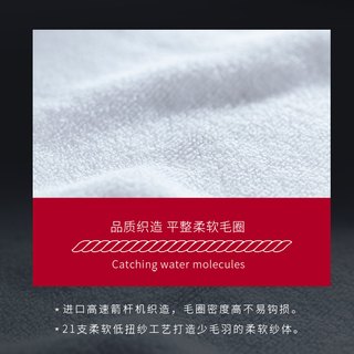 GOTO小白鞋球鞋刷子清洁刷软毛不伤鞋洗鞋套装 吸水毛巾