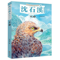 天命 沈石溪动物小说系列 注音版小经典儿童文学课外阅读读物