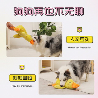 Hoopet 狗狗玩具耐咬磨牙中大型犬发声