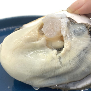 乳山生蚝鲜活6斤 特大生蚝肉即食牡蛎贝新鲜海蛎子10海鲜水产一箱