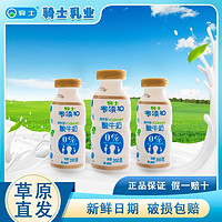 QAX 骑士 零添加酸奶200g*12瓶 益生菌发酵 风味营养儿童原味早餐浓酸牛奶 200g*12瓶