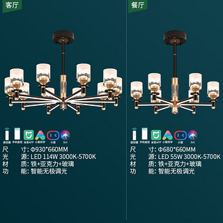 雷士照明 雷士（NVC）美式轻奢智能灯臂发光客厅大灯餐厅灯卧室灯灯具灯饰全屋套餐 10+6头 智能套餐