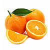 赣南脐橙现摘新鲜榨汁水果橙子 冰糖甜橙非褚健橙 橙子10斤普箱现摘果（60-70mm）