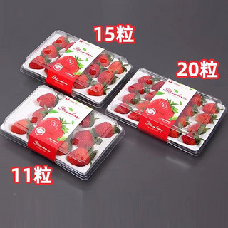 恰货郎 果王级 秒杀！！奶油红颜99草莓 1盒11-12粒礼盒装 单果王25克起（顺丰配送）