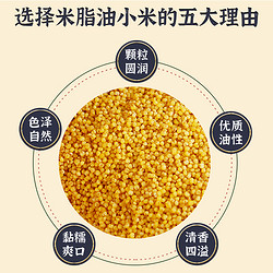 DIAN HE 甸禾 瑞利来甸禾陕西米脂油小米农家小米农家自产五谷杂粮小米粥880g罐