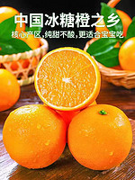 黄花地 麻阳冰糖橙 爆甜 大果 65-70mm 9.5斤 36-45个