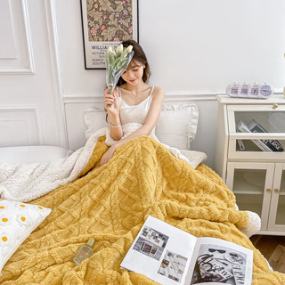 TUBOLIE 途波列 双层A类塔芙羊羔绒铺盖毯 150*200cm 2.8斤