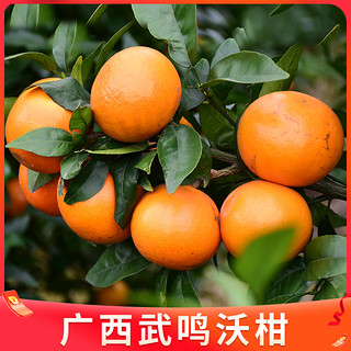 广西武鸣沃柑2斤新鲜水果当季整箱一级沙糖蜜橘砂糖柑橘桔子橘子