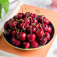 冰杨梅40包(买30包送10包)顺丰包邮