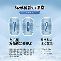 Great Wall 长城 YC-2汽车防冻液-35℃冷却液 四季通用 粉红色 正品 4kg*2桶
