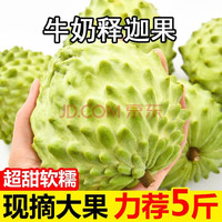 OIMG 牛奶凤梨 新鲜释迦果5斤8-11个左右