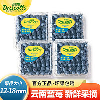 Driscoll's Only the Finest Berries 怡颗莓 当季云南蓝莓 Jumbo超大果国产蓝莓 新鲜水果 云南当季125g*4盒