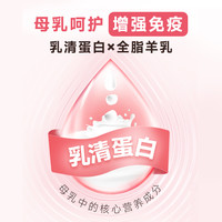 Nutrifresh 纯皓 猫粮奶糕怀孕母猫幼猫50g*4