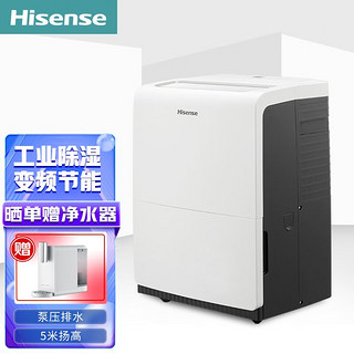 Hisense 海信 除湿机抽湿机除湿器变频抽湿器90升每天泵压排水5米扬高适用200平 CF90BD/NDBp