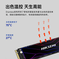 海康威视 HIKVSION C4000固态硬盘2TB笔记本电脑PS5拓展 PCle4.0 7450M/