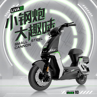 LUYUAN 绿源 新国标电动自行车 LIVA10 48V20A锂电