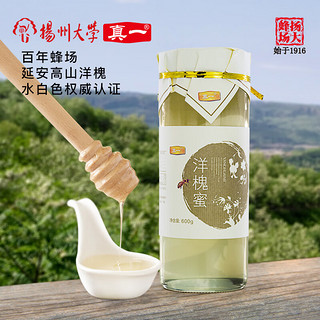 真一 扬州大学槐花蜂蜜高山水白色纯正天然成熟洋槐蜜600g