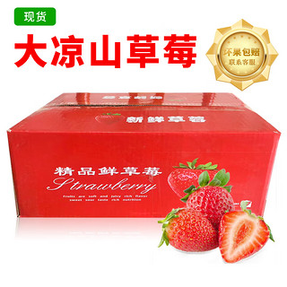 京世泽 四川大凉山红颜奶油草莓5斤装 源头直发 精品礼盒