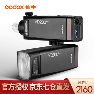 Godox 神牛 AD200pro大功率外拍灯单反闪光灯摄影灯锂电池高速TTL 口袋灯 AD200pro标配（不区分版本，通用） 富士版