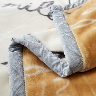 洁丽雅拉舍尔毛毯被子加厚冬季珊瑚绒法兰绒办公室盖毯沙发床上用