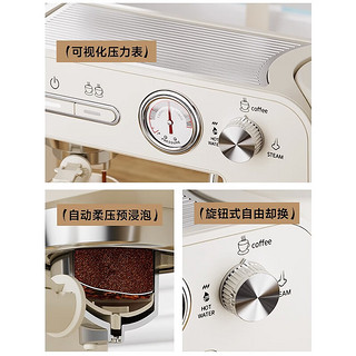 Stelang 雪特朗 家用意式咖啡机 小型半自动浓缩美式一体带蒸汽打奶泡