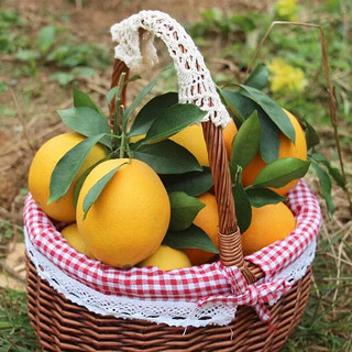 高凉州储良村 赣南特产水果脐橙(带箱5斤/带箱10斤) 净重4.5-5斤小果