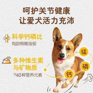 Pedigree 宝路 成犬狗粮全价粮中小型犬泰迪茶杯犬柯基通用 鸡肉味4kg