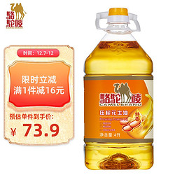 CAMEL BRAND 駱駝嘜 駱駝嘜 食用油 特香壓榨花生油4L 中國香港品牌