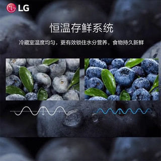 LG M310SW1 风冷无霜智能变频嵌入式双门冰箱 306L