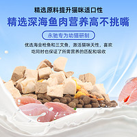 永驰 幼猫猫粮1到3月-12月营养增肥发腮小奶猫饭奶糕鱼肉冻干粮5斤