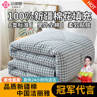 洁丽雅被子秋冬棉被新疆棉100%棉花被子亲肤舒适被芯纯棉四季被棉絮垫被 欢乐 180*220cm/6斤