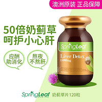 SpringLeaf 绿芙 澳洲奶蓟草片120粒 成人男女熬夜应酬加班常备养肝保健养胃