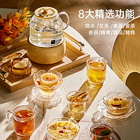 world kitchen 康寧養生壺全玻璃家用小型多功能辦公室煮茶器燒水花茶壺鮮燉