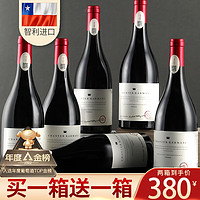 移动端、京东百亿补贴：轩唐 Carmina 卡曼尼 智利佳美娜（Carmenere）干型红葡萄酒 6瓶*750ml套装